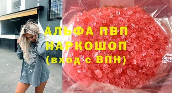 индика Елизово