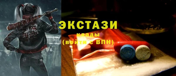 индика Елизово
