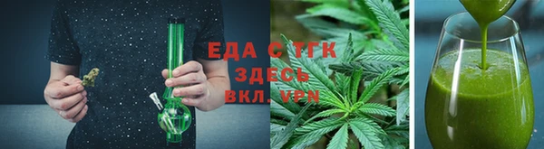 индика Елизово