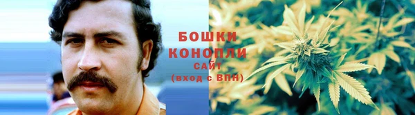 индика Елизово