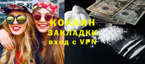 ешки Дмитриев