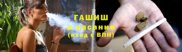индика Елизово