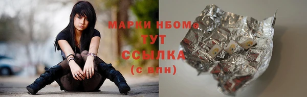 индика Елизово