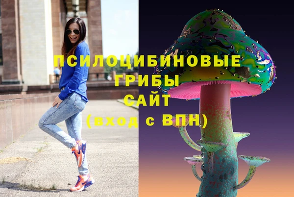 МДПВ Гусев