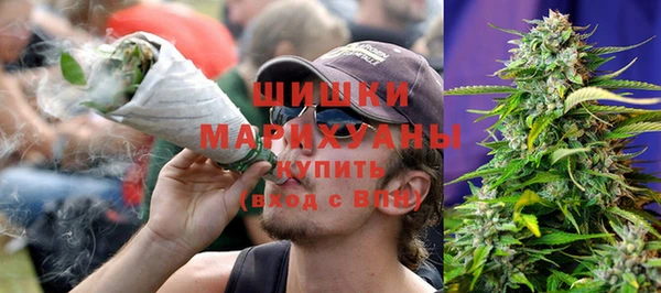 индика Елизово