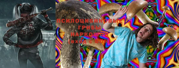 индика Елизово