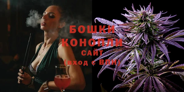 ешки Дмитриев