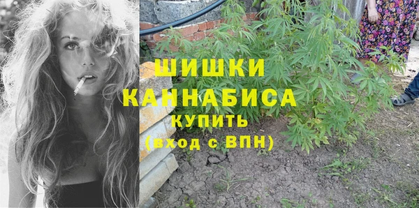 индика Елизово
