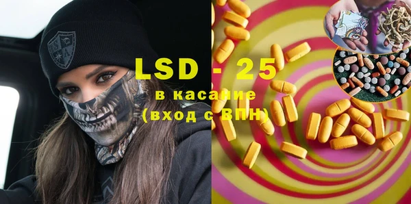 индика Елизово