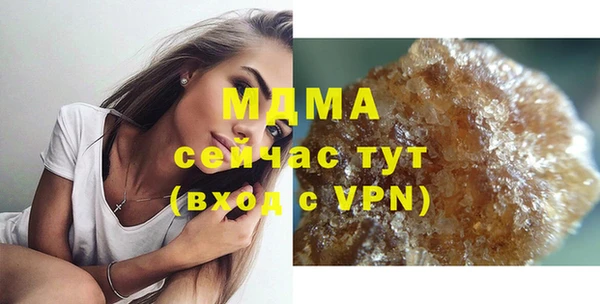 индика Елизово