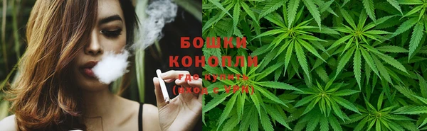 spice Дмитровск
