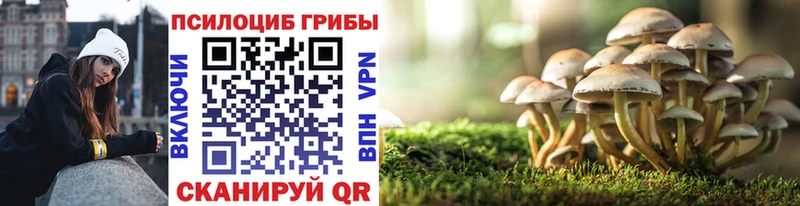 Псилоцибиновые грибы ЛСД  сколько стоит  Высоцк 